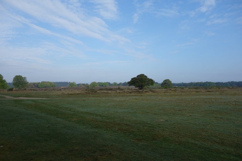 Office by Nature / Studio Massimo - Image 6 of 13