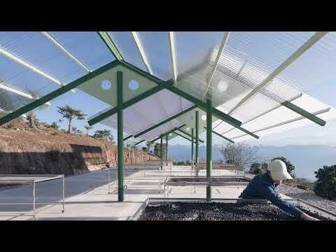 Terraweave Estate (Tiantian) Coffee Drying Yard / Edge Architects - Beam