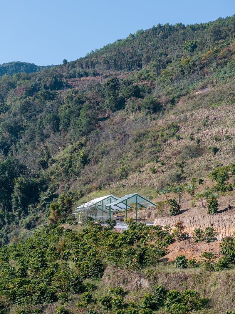 Terraweave Estate (Tiantian) Coffee Drying Yard / Edge Architects - Image 9 of 28